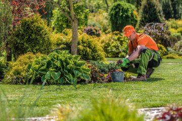 bed weed control